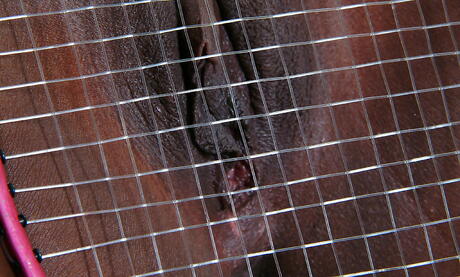 Slender teen Katana showing big boobs and jerking off 